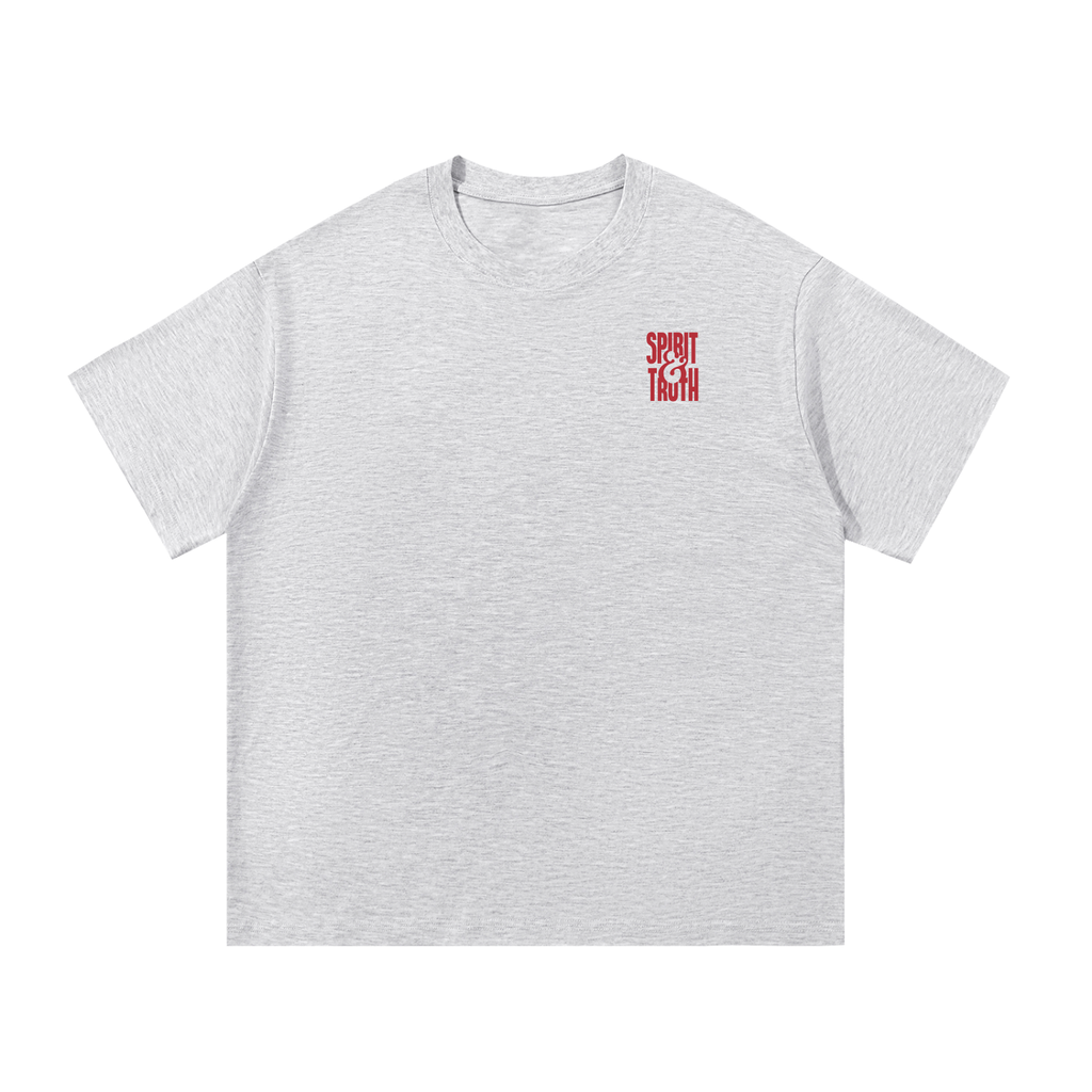 Spirit & Truth - Gray T-Shirt